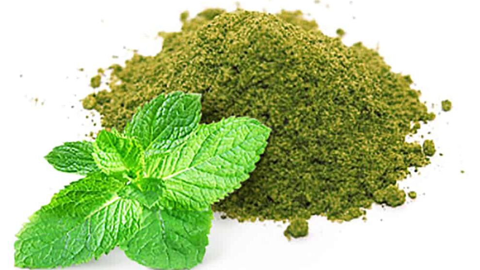 Indian nettle is part of Keto Black